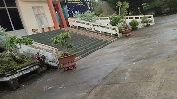 Buổi sáng bình yên ở nhà thờ Hoa Lư #gialai