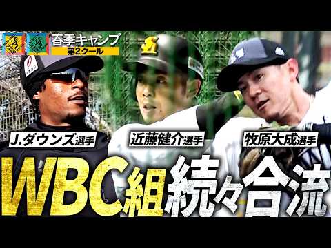【WBC代表も続々】春季キャンプ第2クールつめあわせ【半パン寒いでしょ】