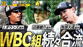 【WBC代表も続々】春季キャンプ第2クールつめあわせ【半パン寒いでしょ】