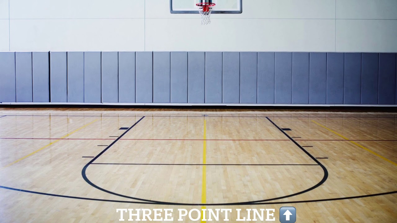 Projectile Motion Basketball Experiment YouTube