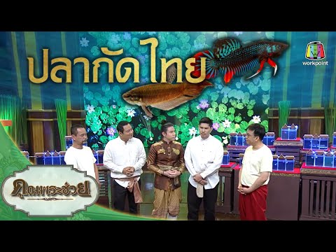 ปลากัดไทย ตอน ปลากัดป่าและปลากัดสวยงาม | คุณพระเชี่ยว | คุณพระช่วย | 20 มิถุนายน พ.ศ.2564