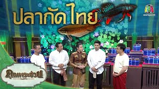 ปลากัดไทย ตอน ปลากัดป่าและปลากัดสวยงาม | คุณพระเชี่ยว | คุณพระช่วย | 20 มิถุนายน พ.ศ.2564