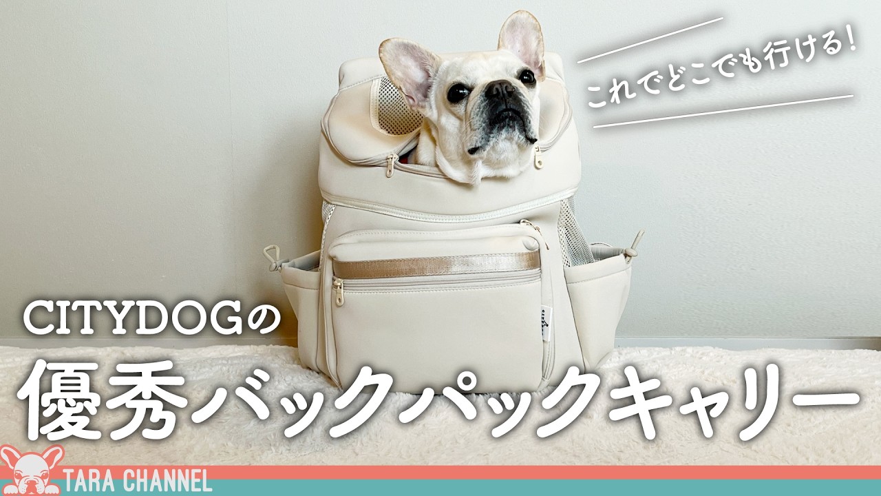 これは良いかも！？おすすめキャリーバックパックなどをご紹介【災害対策にも○】