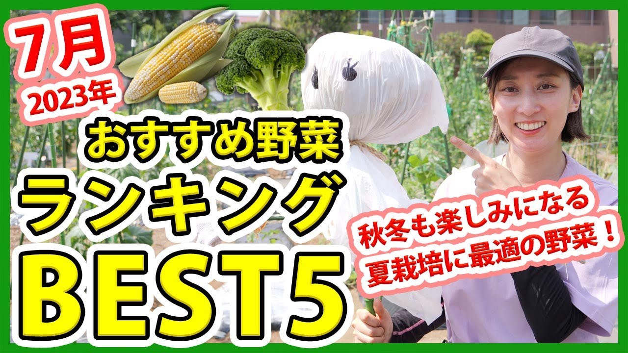 家庭菜園や農園の夏野菜栽培で2023年7月おすすめ野菜ランキングBEST5