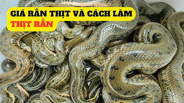 Cập Nhật Giá Rắn,Và Cách Làm Rắn Thịt -Trại Giống Đông Sơn