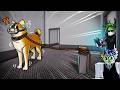 Cách TRỊ CHÓ DỮ Trong ROBLOX...