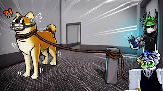 Cách TRỊ CHÓ DỮ Trong ROBLOX...