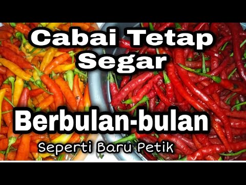 Cara Membuat Rica Tahan Lama
