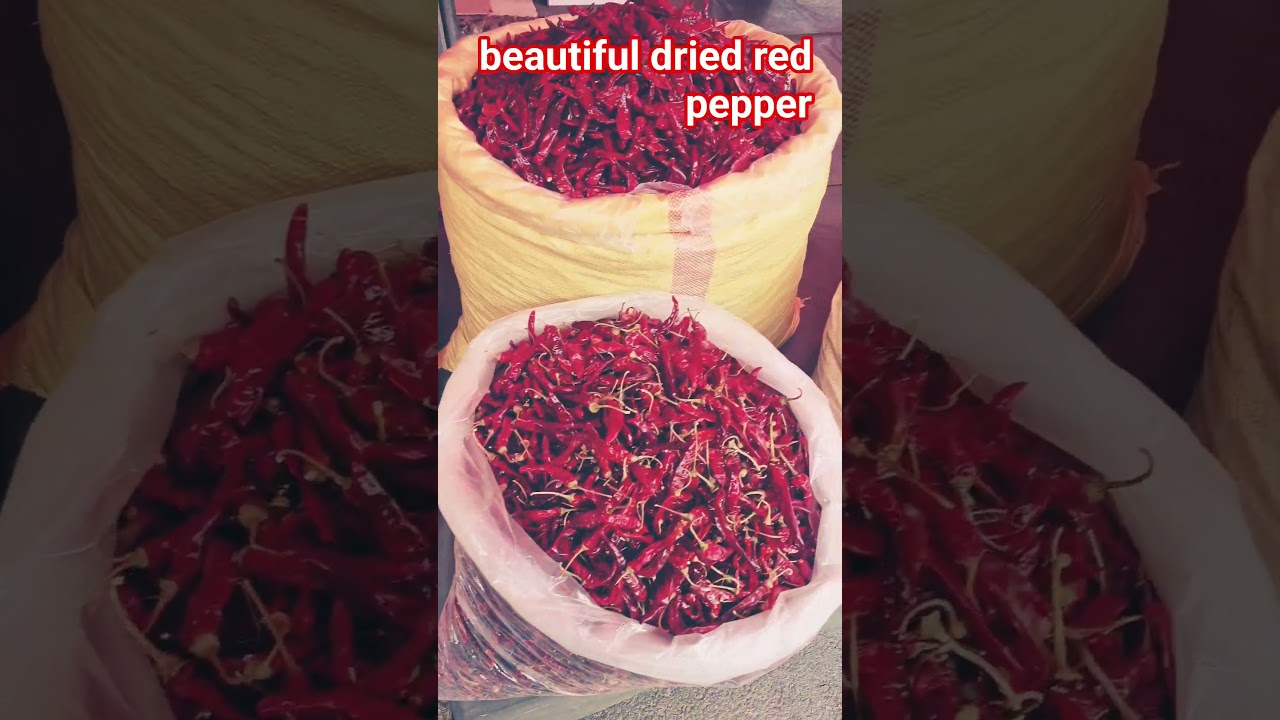 Market Tour — Let’s Check the Dried Red Peppers at Malbao Market 🌶️👀