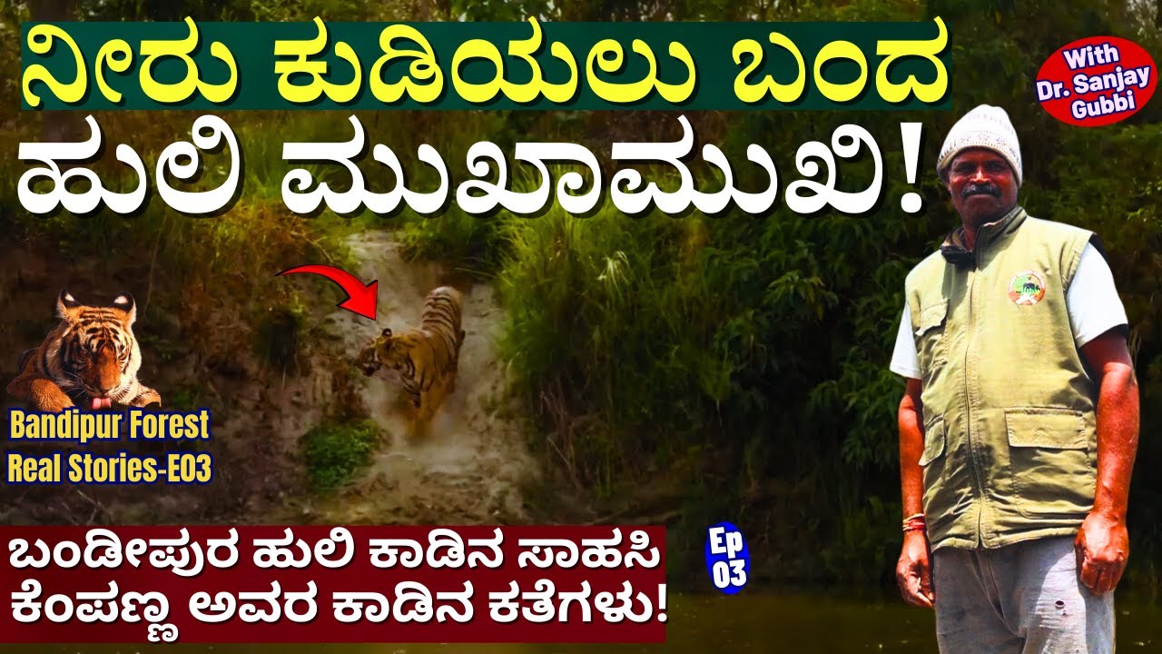 'ಹುಲಿ ನೀರು ಕುಡಿಯುವಾಗ ಎದುರು ಬಂತು! ಮುಂದೇನಾಯ್ತು? ಕೆಂಪಣ್ಣನ ಕಾಡಿನ ಕತೆಗಳು!'-E03-Dr. Sanjay Gubbi-Forest
