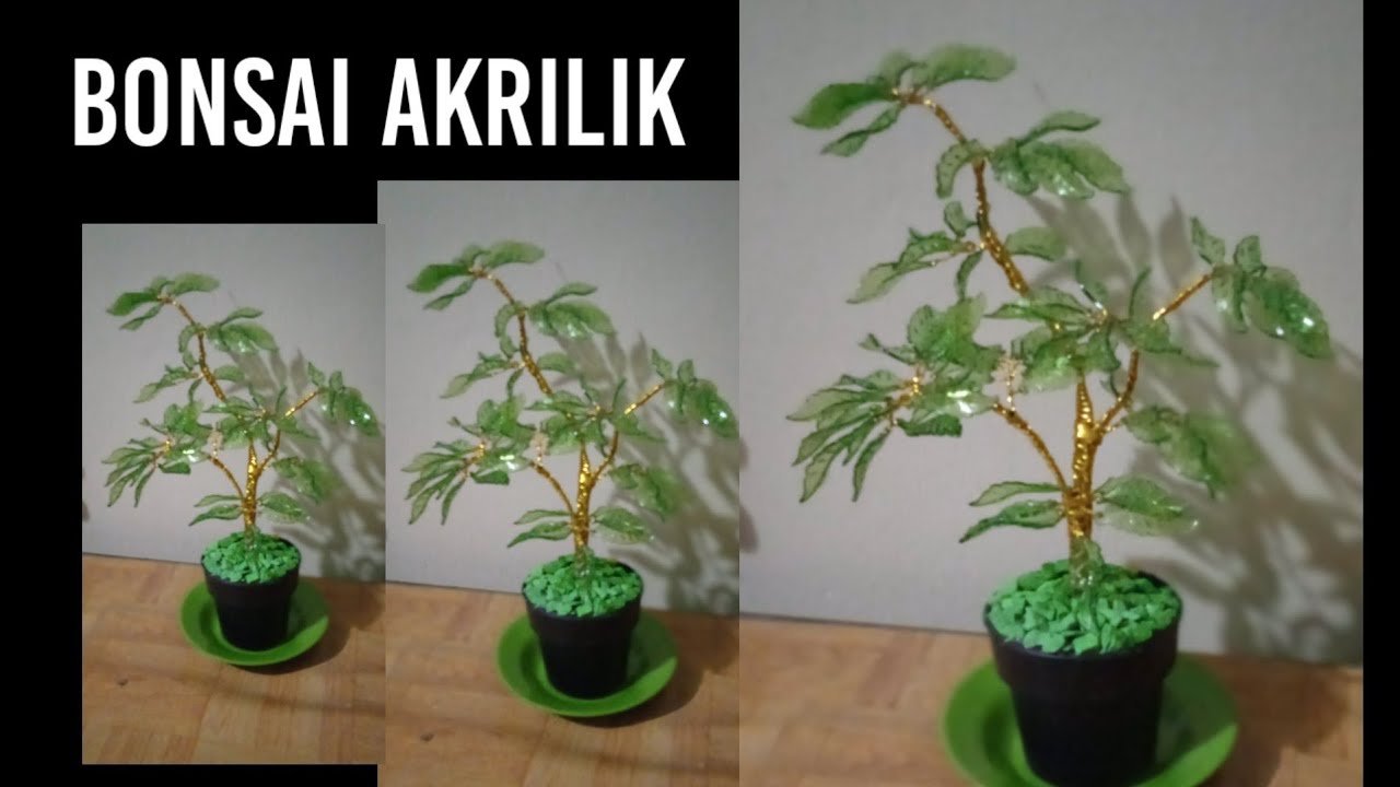 Cara mudah membuat bonsai akrilik  1 /How to create an acrylic bonsai  1