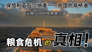 遠洋貨輪運輸糧食回國，糧食危機真的存在嗎？
