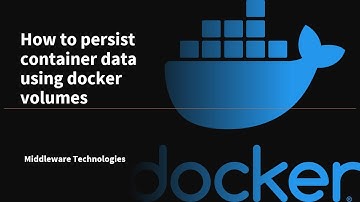 How to persist container data using docker volumes