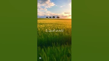 #اكتب_شي_تؤجر_عليه #تلاوة_خاشعة #تلاوة_مميزة #تلاوة_هادئة #راحة_نفسية #قرآن #quran #المعيقلي