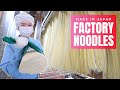 How Factory Noodles are Made in Japan