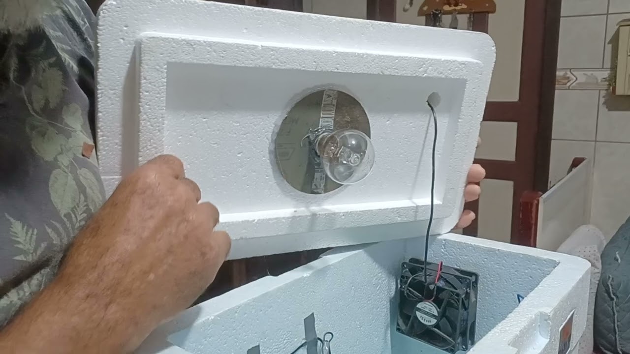 10 de agosto de 2024