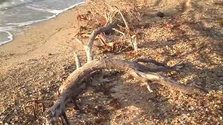 Robert Earl Keen - Corpus Christi Bay
