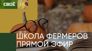 Фермерский грант | Школа Фермеров | Награждение | Своё с Даниленко | Прямой эфир