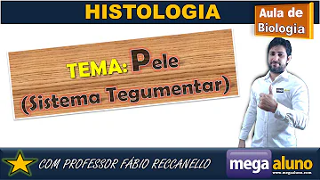 Qual parte da pele ficam os receptores sensitivos?