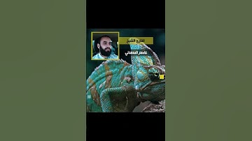 ان للمتقين - قراءة رائعة ونادرة للشيخ القارئ عاصم السعدني