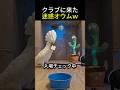 チケット1枚で2人入ろうとするオウムｗ