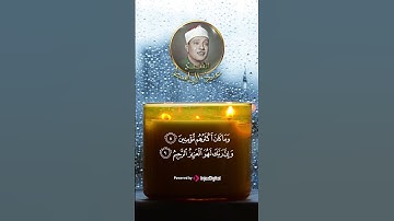 تلاوة تاخذك لعالم اخر من الحنجرة الذهبية