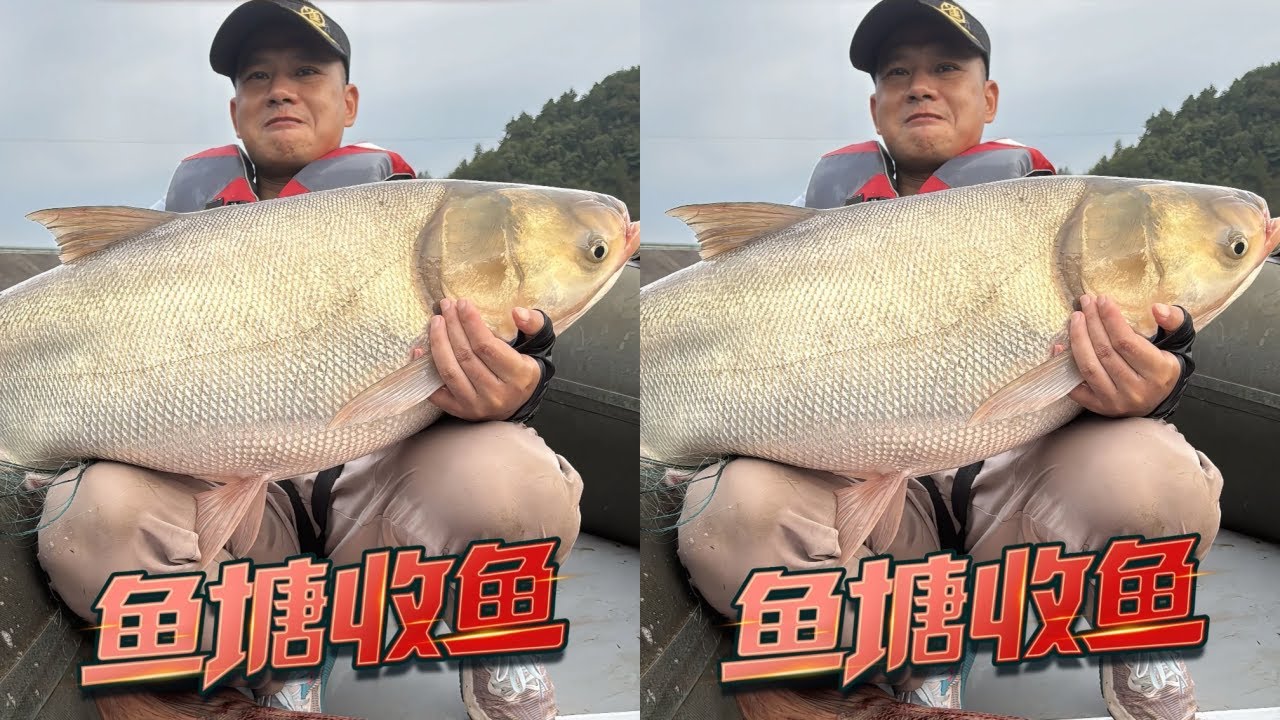 老麻雀盘100多年没有干过的水库，老板要价三四百万！