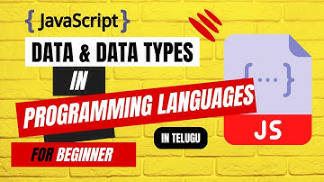 Data Types in Programming Language in Telugu | JavaScript Tutorials #js #education #tutorial #coding