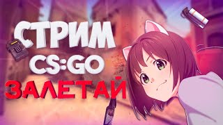 💣СТРИМ ПО CS:GO 💣ИГРАЮ С ПОДПИСЧИКАМИ 💣НЭНПРАЙМ💣ДЕГРАДИРУЮ В CS:GO💣