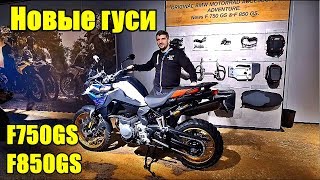 видео: BMW F850GS и F750GS. Подробный обзор новых гусей. картинка: BMW F850GS и F750GS. Подробный обзор новых гусей.