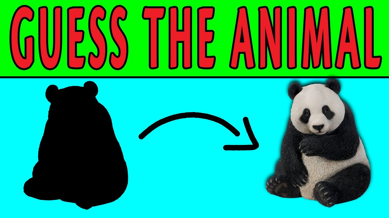 Can You Guess the Animal from Its Shadow? | Animal Quiz - YouTube