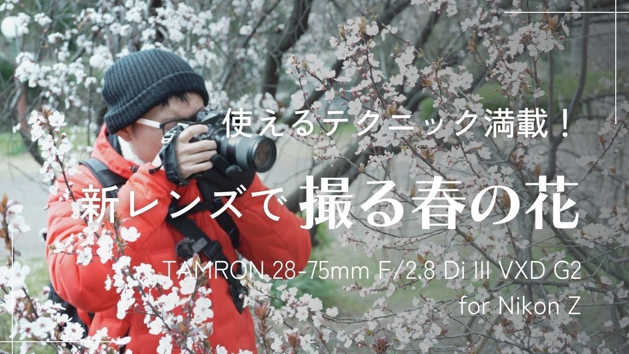 種類ごとに解説】春の花を撮るときに考えるべきこと ニコンZ用 TAMRON