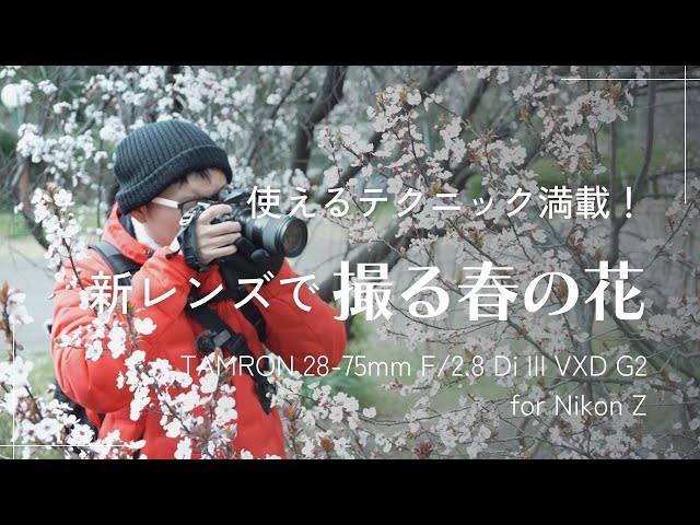 種類ごとに解説】春の花を撮るときに考えるべきこと ニコンZ用