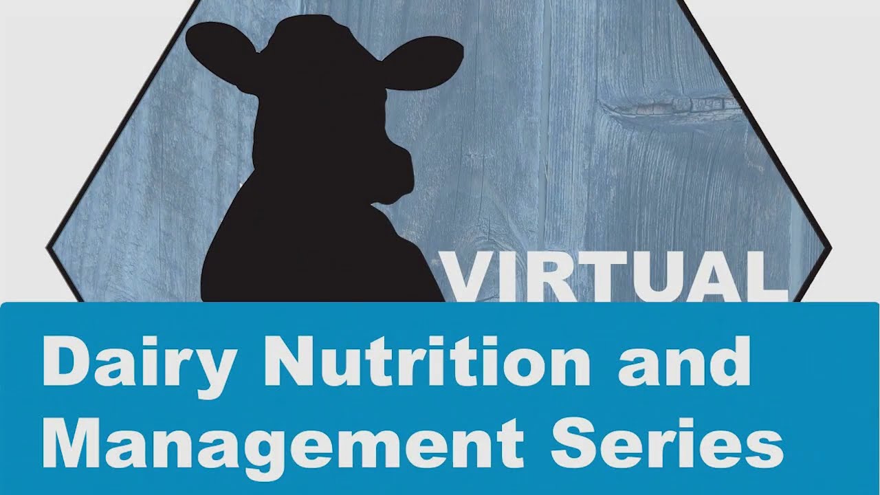 Bernard - Alternative Forages