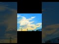 art of nature with 4k