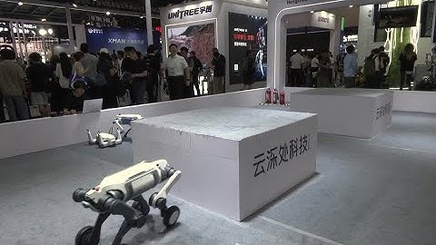 Robotic dog aims to tackle all-terrain environment | REUTERS