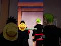 Zoro and Luffy share a single brain cell 😂