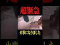 【緊急】家が火事になりました　#消防士 #防災 #火災