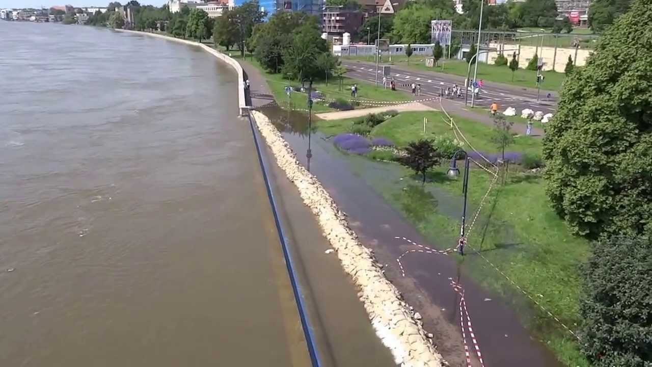Hochwasser Elbe Magdeburg Strombrucke Elbpegel Schleinufer 09 06 13 Youtube
