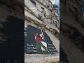 Mural of Macklemore painted in Gaza | #RTÉNews #gaza #art #palestine #news