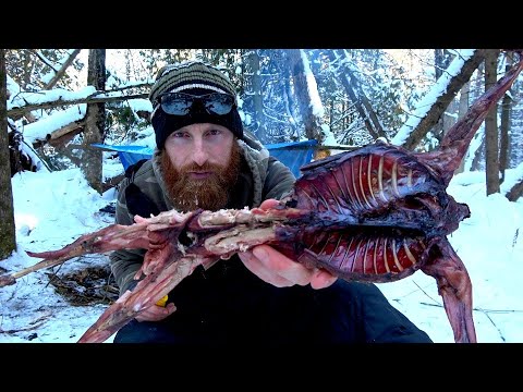 Solo Overnight Winter Survival, Tarp, Knife, Rope | ASMR (Silent)