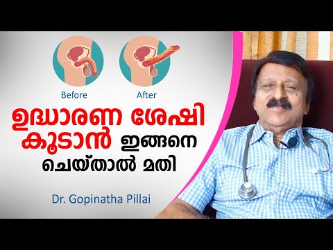 ഉദ്ധാരണ ശേഷി കൂടാൻ ഇങ്ങനെ ചെയ്താൽ മതി | Erectile Dysfunction Malayalam