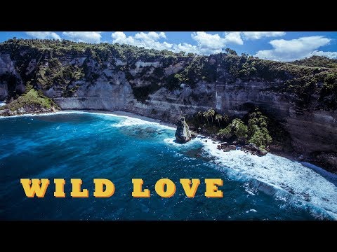 PIKA - WILD LOVE (Grey Killer prod.) / ПИКА - ДИКАЯ ЛЮБОВЬ