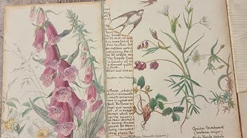 Altered File Folder Junk Journal - Edith Holden Country Diary Of A Edwardian Lady - Part 1