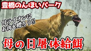 そらパパ専用。イタリア。アウラ社。ライオン YouTube
