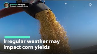 Irregular Weather May Impact Summer Corn and Soybean Yields
