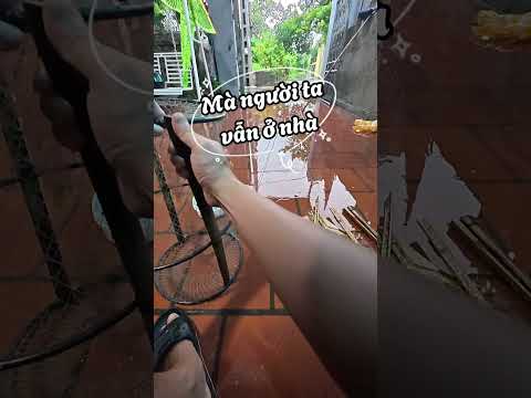 Mùa đặt lợp bắt cá #caođàitổng #fishing #caucathugian