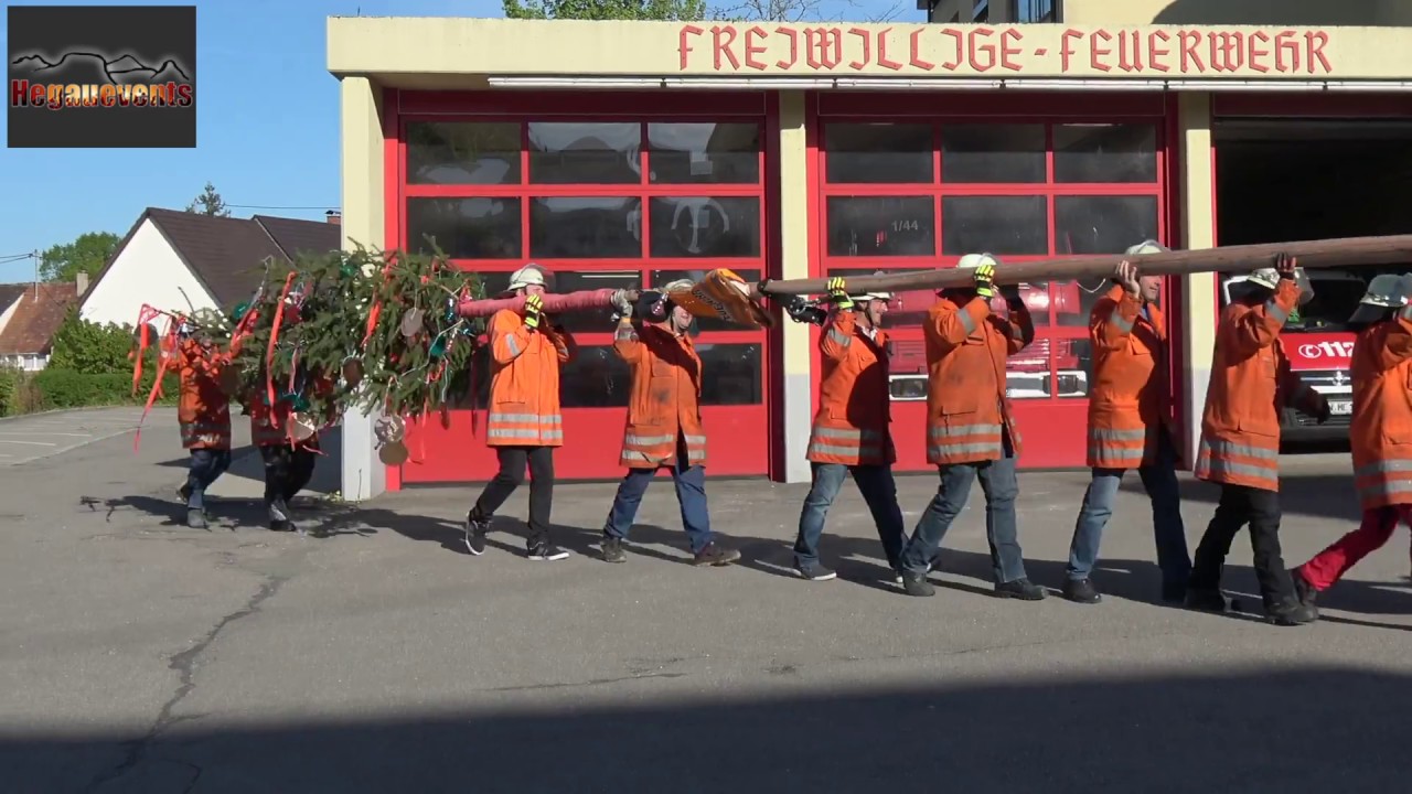 Maibaumstellen am Rathaus Freiwillige Feuerwehr Mühlhausen - Ehingen 30.04.2017