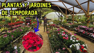 Tour of a beautiful tropical nursery, seasonal plants | Garden of Eden | AP Tour of a beautiful tropical nursery, seasonal plants | Garden of Eden | AP