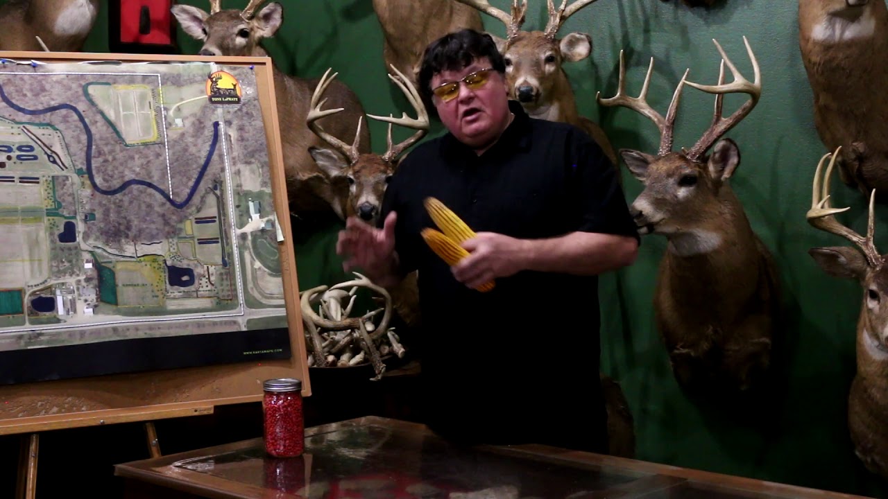 Tony Lapratt High Oil Corn